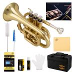 Glory Bb pocket trumpet case attaching tuner sliding grease cleaning Cross gloves Gold Rucker (L parallel imported goods 