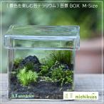 (景色を楽しむ苔テラリウム)苔景BOX　M-Size[BM-032]