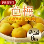 （冷蔵）青森の色梅（完熟梅）[豊後梅-ぶんごうめ-]2L〜3Lサイズ混合約8kg梅通販　ウメ　うめ　梅　※7月下旬から