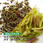 ( рефрижератор ) Aomori натуральный дикоросы ... реальный примерно 100g. красный ..( пилинг завершено ) примерно 1kg комплект [ Sasaki san ]miz. ламинария *miz. .*mizm корзина 