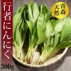 ( рефрижератор ) Aomori. натуральный дикоросы line человек чеснок примерно 300g(a собака лук-батун,yama чеснок )[ Sasaki san ]*4 месяц сверху . примерно из .. последовательность отправка предположительно. 