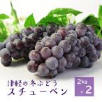 Aomori префектура производство виноград [schu- Ben ] примерно 2kgx2 коробка (10~24.).. подарок подарок 