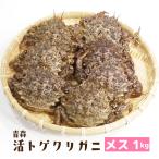 （冷蔵）活青森トゲクリガニ[メス]約1kg（4〜6ハイ）[青森むつ湾産]【送料無料※一部地域を除く】桜蟹 栗蟹