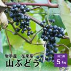 ( рефрижератор ) Iwate префектура производство гора виноград [.. серия ] обработка для примерно 5kg гора ..