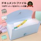 レシートホルダー ドキュメントファイル 領収書 整理 書類ケース 家庭管理 ファイル ドキュメントファイル 薄型 持ち運び可能 領収書 ファイル 家計管理