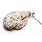  Pierre o Tey The o-verunyu производство салями jezte.pei автобус k3 месяцев . заключение контракта 600g