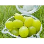  автомобиль in мускат шарик только набор,170g, примерно 12 шарик ввод 