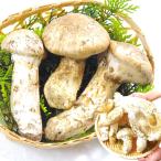  сосна . примерно 150g Северная Америка производство рефрижератор рейс еда 