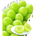  автомобиль in мускат виноград 1.600~700g Fukuoka * Kumamoto префектура производство мускат .. виноград 