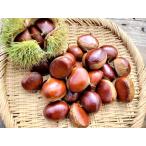  мир каштан .. каштан . волна каштан примерно 500g( примерно 17 шт передний и задний (до и после) )