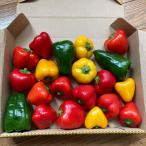  река . сельское хозяйство место паприка Mix паприка роза .. примерно 1kg