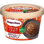 ハーゲンダッツGREEN CRAFT 豆乳チョコレート＆マカデミア110ml (6個)