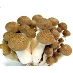  Kochi префектура чёрный . блок производство симедзи примерно 180g