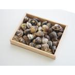  China производство Mini . хамагури сырой 2kg примерно 70 шарик 