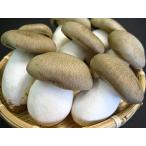  Kyoto (столичный округ) производство столица Tanba большой чёрный книга@ симедзи превосходящий товар примерно 100g упаковка 