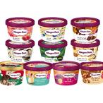 ハーゲンダッツ アイスクリーム ミニカップ10個 ギフト セット