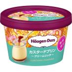 ハーゲンダッツ カスタードプリン クリームリッチ110ml (12個)