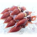  ho ta Louis ka весна. новый предмет ... Boyle ho ta Louis ka Toyama . производство примерно 300g рефрижератор котел . ho ta Louis ka(1 упаковка примерно 300g)