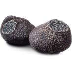  Австралия производство зима трюфель extra 100g[ сезон ограничение ]