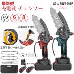 チェーンソー 充電式 2024 電動 小型 6/8インチ ハンディ オイル 家庭用 ミニチェーンソー 片手 軽量 強力 木工切断 薪作り 園芸設備 枝切り 庭木の剪定 竹の伐