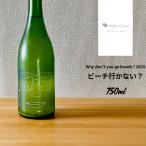  - ko-shooWhy don't you go beach? 2025 / пляж line . нет? 750ml