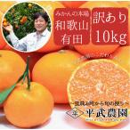 【農家直送!】有田みかん 訳あり 10kg 和歌山|有田|田口|お取り寄せ|こだわり|フルーツ|わけあり