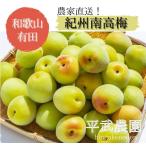 Yahoo! Yahoo!ショッピング(ヤフー ショッピング)農家直送！平武農園の紀州南高梅【訳あり品1kg】　和歌山県有田産