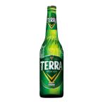 JINRO TERRAビール 500ml (