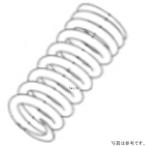 00-00-1363 SP武川 バルブスプリング 1C4Vヘッド用 HD店