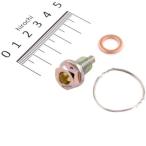 【メーカー在庫あり】 105-1201 キジマ ワイヤーロックドレンボルト M10mm P1.5mm L14mm HD店