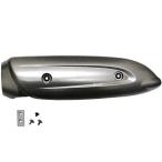 [ производитель наличие есть ] 308329 NBS мотоцикл детали центральный muffler протектор Jog SA36J/SA39J серебряный HD магазин 