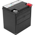 [ немедленная уплата ] 66000481 Harley оригинальный AGM аккумулятор 97 год после touring 66010-97D HD магазин 