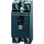 【メーカー在庫あり】 BS1112 パナソニック(株)エレクトリックワークス社 Panasonic 安全ブレーカHB型2 HD店