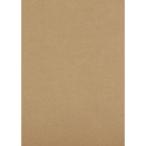 【メーカー在庫あり】 DS2129 トラスコ中山(株) TRUSCO 段ボールシート 210x297 HD店