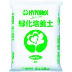 [ производитель наличие есть ] H005901 ( АО ) высокий po шея s Japan высокий po шея s зеленый . cубстрат (1 пакет входить ) HD магазин 
