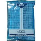【メーカー在庫あり】 HC-100PL HC100PL  (株)トライ・カンパニー TRY 保冷剤 キャッチクール100g HD店