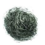 【メーカー在庫あり】 TP100UL 太洋電機産業(株) グット 替えスチールウール3個入り HD店