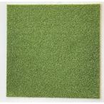 【メーカー在庫あり】 TT-300 TT300  (株)大島屋 大島屋 人工芝タイルカーペット 50x50cm HD店