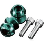 【メーカー在庫あり】 004022-08 ポッシュ POSH ネットアンカー NASAタイプ 8mm 2個入り ダークグリーン SP店