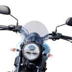 【メーカー在庫あり】 ws-50-mc ワールドウォーク XSR125用メーターバイザー ミドル・クリア SP店