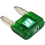 IF-MIN30A アイスフューズ ICE FUSE アイスヒューズ ミニタイプ 30A 1個入り 正規品 HD店