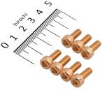 【メーカー在庫あり】 480805 ポッシュ POSH 24Kメッキ ステンレス タンクキャップカバーボルトセット カワサキ M5x12mm SP店