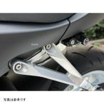 603-187-000BS Agras AGRAS шлем держатель BK/ металлизированный 20CBR6RR SP магазин 