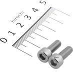 【メーカー在庫あり】 900615-2S ポッシュ POSH キャップボルトセット 汎用 M6x15mm ステンレス 2本入り SP店