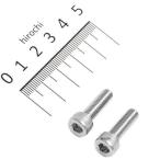 【メーカー在庫あり】 900620-S2 ポッシュ POSH キャップボルトセット 汎用 M6x20mm ステンレス 2本入り SP店