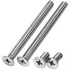 【メーカー在庫あり】 990410-S2 ポッシュ POSH マスターシリンダーキャップビスセット 汎用 M4x10mm 2個入り SP店