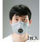 ショッピングn95マスク 【メーカー在庫あり】 000012294651 [N 95] マスク(有機性ガス用/2枚) SP店