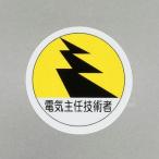 【メーカー在庫あり】 000012345519 エスコ ESCO φ35mm ヘルメットステッカー(電気主任技術者/2枚) SP店