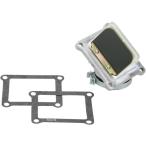 [USA наличие есть ] RAD33E Bojesen Boyesen Lead клапан(лампа) 00 год YZ125 SP магазин 