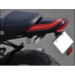 TC99 Schic дизайн длинный хвостовой обтекатель комплект внутренний крыло нет Z900RS не крашеный SP магазин 